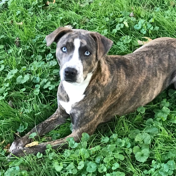 Meet your Posher, Belinda - Picture 3 of 6